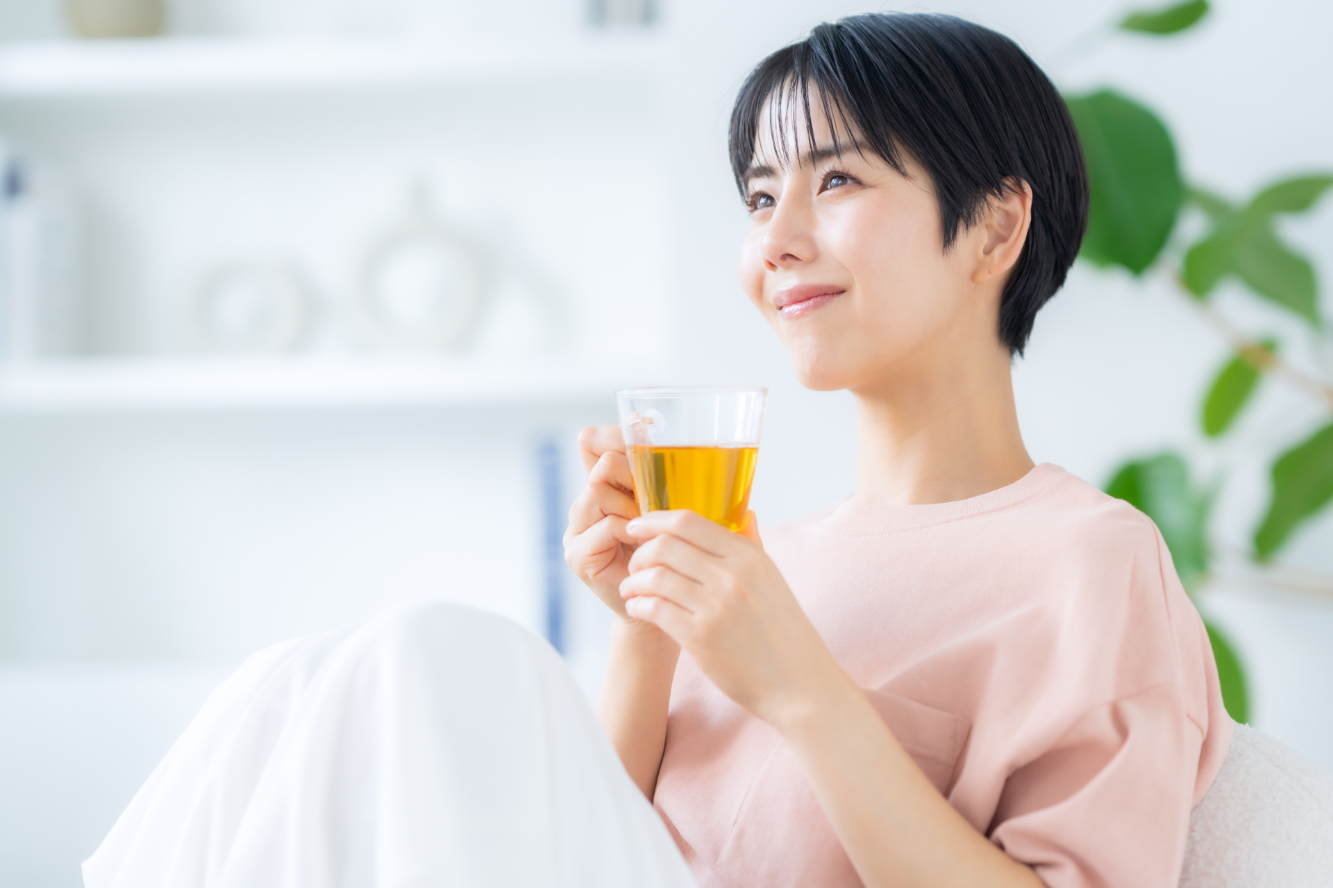 歯磨き後にお茶を飲んでもよい？お茶の虫歯予防効果も解説